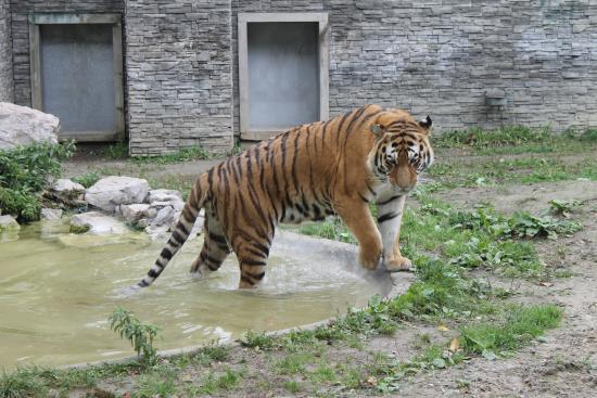 Ogród Zoologiczny w Krakowie